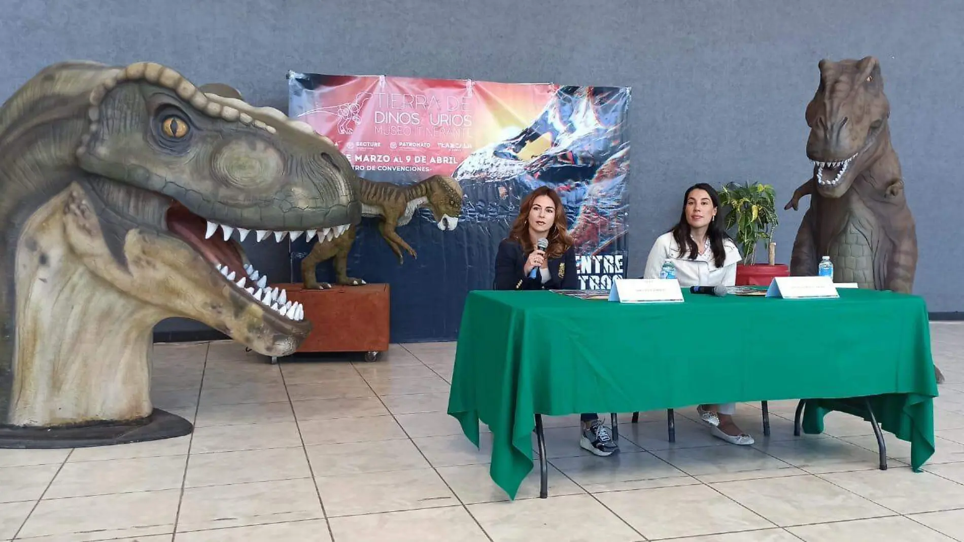 Museo dinosaurios